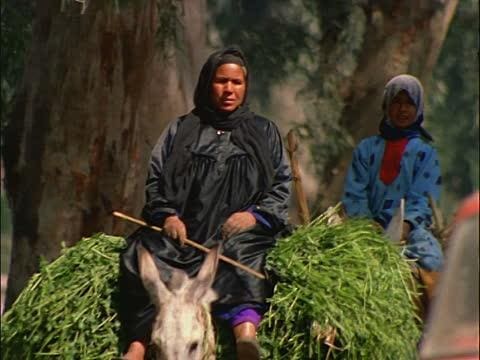 الصعيد يغلي بسبب تصريحات تيمور السبكي عن نساءهم