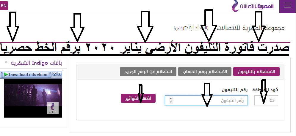 موقع المصرية للاتصالات