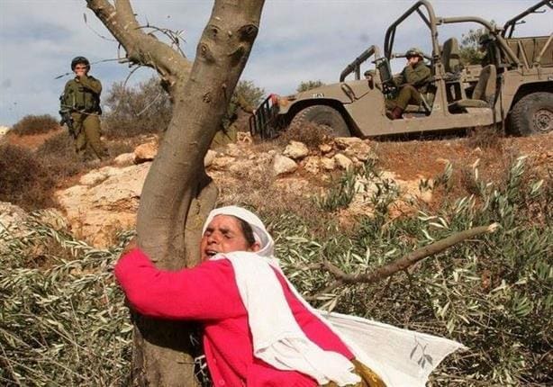 الانتهاكات الإسرائيلية بالأراضي الفلسطينية الانتهاكات الإسرائيلية بالأراضي الفلسطينية
