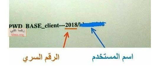 نتائج شهادة التعليم الابتدائي 2019