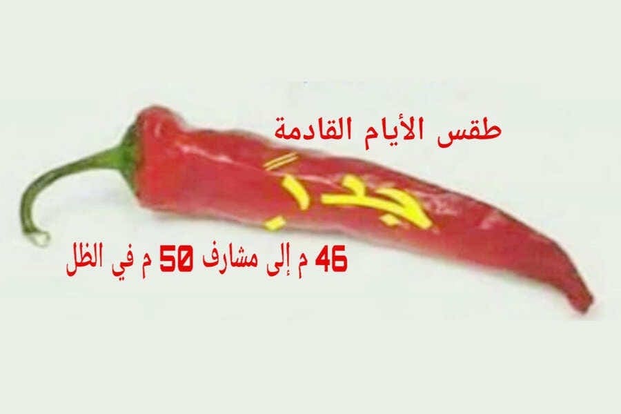 طقس حار جدا