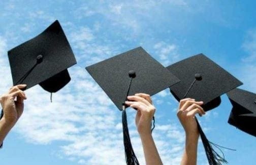 نتيجة الدبلومات الفنية 2019 لجميع الأقسام
