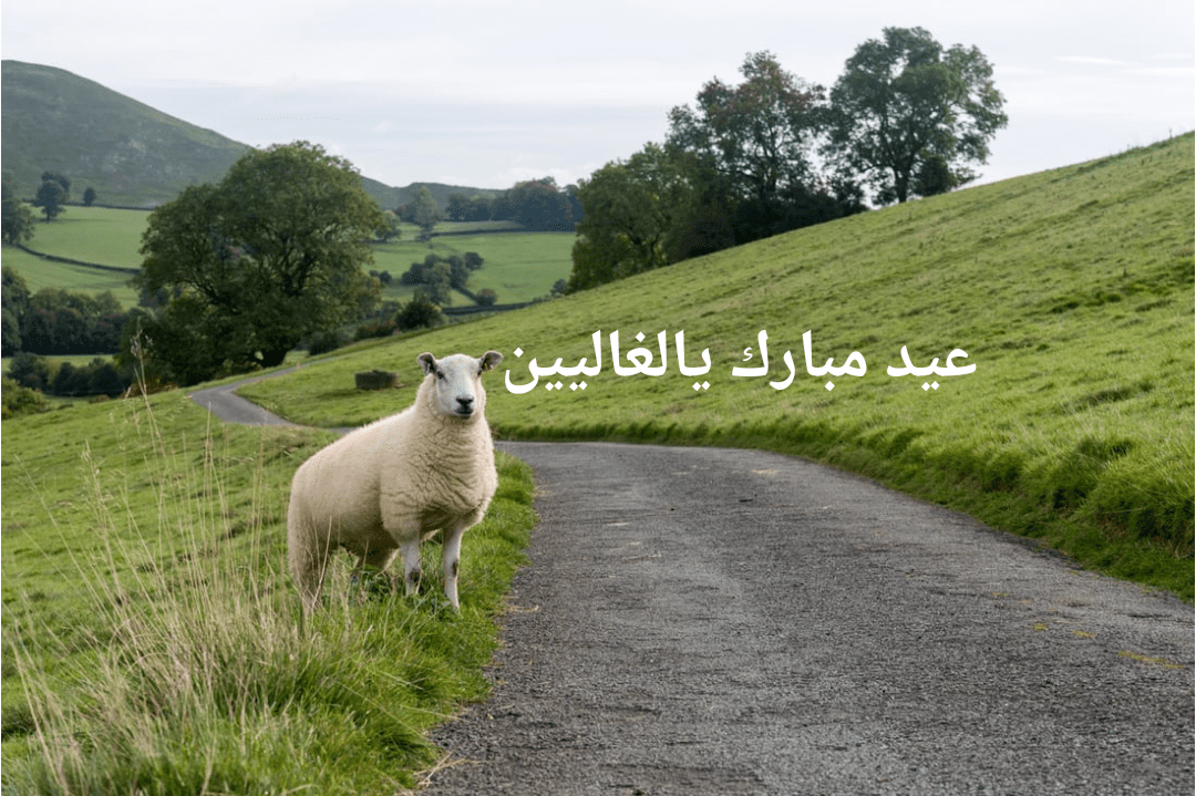 رسائل تهنئة عيد الأضحى المبارك 2019 للجوال 