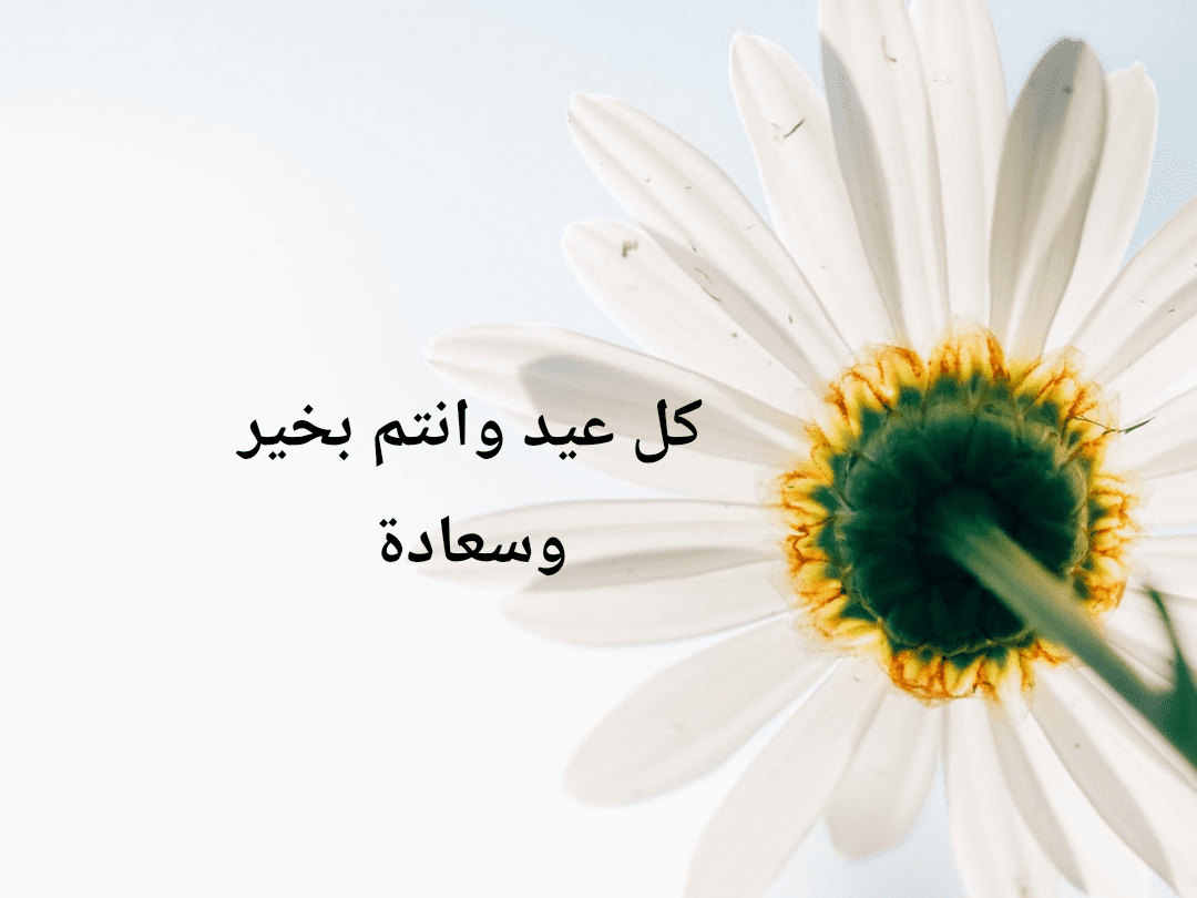 رسائل تهنئة عيد الأضحى المبارك 2019 للجوال