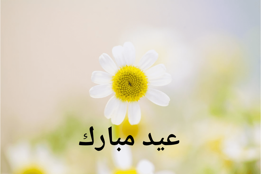 رسائل تهنئة عيد الأضحى المبارك 2019 للجوال