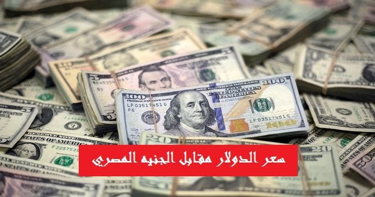 سعر الدولار في مصر