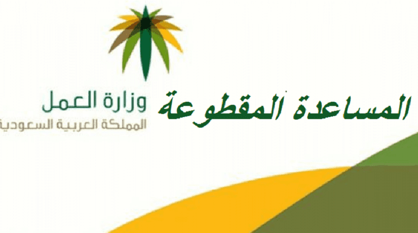 الاستعلام عن صرف المساعدة المقطوعة برقم الطلب